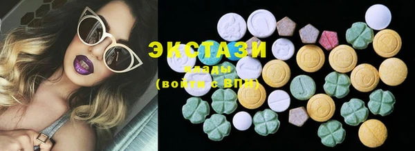 ECSTASY Богданович