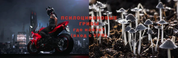ECSTASY Богородск