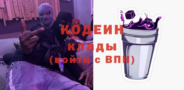 ECSTASY Богданович