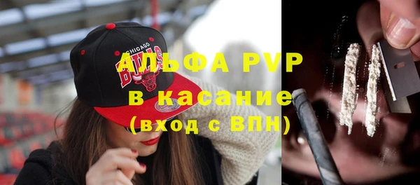 тгк Богородицк