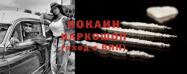 тгк Богородицк