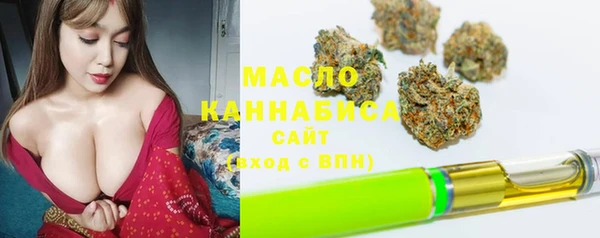 ECSTASY Богданович