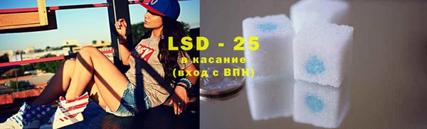 ECSTASY Богданович