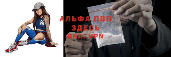 ECSTASY Богородск