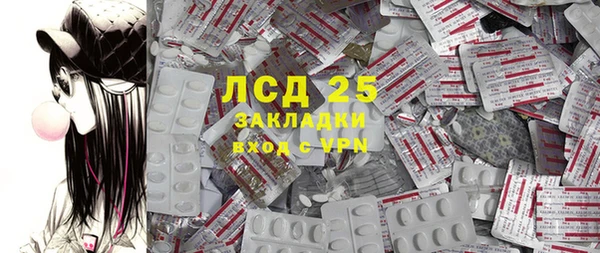 ECSTASY Богданович