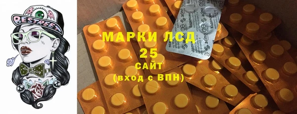 ECSTASY Богданович