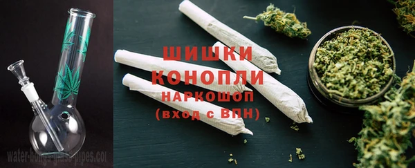 ECSTASY Богородск